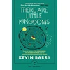 KNYGA Kevin Barry There Are Little Kingdoms