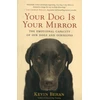 KNYGA Kevin Behan Your Dog Is Your Mirror