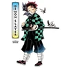 KNYGA Koyoharu Gotoge Art of Demon Slayer: Kimetsu no Yaiba