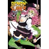 KNYGA Koyoharu Gotoge Demon Slayer: Kimetsu no Yaiba, Vol. 14