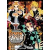 KNYGA Koyoharu Gotoge Demon Slayer: Kimetsu no Yaiba: The Official Coloring Book 2