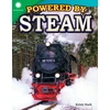 KNYGA Kristy Stark Powered by Steam