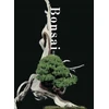 KNYGA Kunio Kobayashi Bonsai