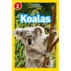 KNYGA Laura Marsh Koalas