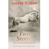 KNYGA Lauren St John One Dollar Horse: Fire Storm