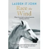 KNYGA Lauren St John One Dollar Horse: Race the Wind