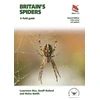 KNYGA Lawrence Bee Britain's Spiders
