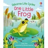 KNYGA Lesley Sims One Little Frog