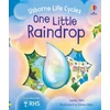 KNYGA Lesley Sims One Little Raindrop