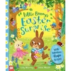 KNYGA Lily Murray Little Bunny's Easter Surprise