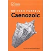 KNYGA London Natural History Museum British Cenozoic Fossils