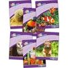 KNYGA Louise Van Pottelsberghe Jolly Phonics Readers Level 5, Our World