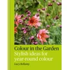 KNYGA Lucy Bellamy Colour in the Garden