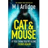 KNYGA M J Arlidge Cat And Mouse