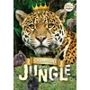 KNYGA Madeline Tyler; Drue Rintoul Champions of the Jungle