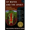 KNYGA Malidoma Patrice Some Of Vanduo and the Spirit