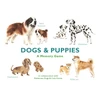 KNYGA Marcel George Dogs &amp; Puppies, A Memory Game