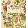 KNYGA Margaret Erskine Wilson Wild Flowers of Britain: Month by Month