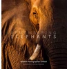 KNYGA Margot Raggett Remembering Elephants