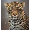 KNYGA Margot Raggett Remembering Leopards
