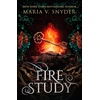 KNYGA Maria V Snyder Fire Study