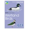 KNYGA Marianne Taylor RSPB ID Spotlight - Wetland Birds