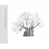 KNYGA Mark Frith Legacy of Ancient Oaks
