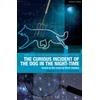 KNYGA Mark Haddon Curious Incident of the Dog in the Night-Time, The Play
