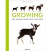 KNYGA Marlownneke Willemsen Growing, How animals come into our world