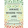 KNYGA Martin Aylward Awake Where You Are