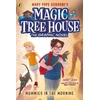 KNYGA Mary Pope Osborne Magic Tree House: Mummies in the Morning, (A Graphic Novel)