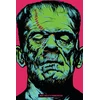 KNYGA Mary Shelley Shelley Mary Frankenšteinas