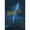 KNYGA Mary Shelley Shelley Mary Frankenšteinas