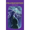 KNYGA Mary Shelley Shelley Mary Frankenšteinas