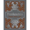 KNYGA Mary W Shelley Frankenšteinas