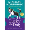 KNYGA Michael Morpurgo Lucky the Dog and Other Tales from the Farm