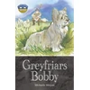 KNYGA Michaela Morgan Storyworlds Bridges Stage 12 Greyfriars Bobby (single)