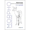 KNYGA Michel Lauricella Morpho: Mammals, Elements of Comparative Morphology