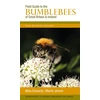 KNYGA Mike Edwards Field Guide to the Bumblebees of Great Britain and Ireland, New Revised Edition