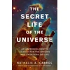 KNYGA Nathalie A Cabrol Secret Life of the Universe