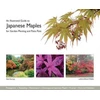 KNYGA Neil Kenney Illustrated Guide to Japanese Maples for Garden Planting and Patio Pots