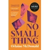 KNYGA Orlaine Mcdonald No Small Thing, 'One of the best debut novels I’ve read in recent metai' Bernardine Evaristo