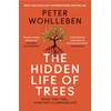 KNYGA P Wohlleben Hidden Life of Trees