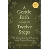 KNYGA Patrick Carnes Gentle Path Through the Twelve Steps