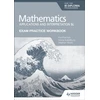 KNYGA Paul Fannon Exam Practice Workbook for Mathematics for the IB Diploma: Applications and interpretation SL