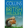 KNYGA Paul Sterry British Wildlife, A Photographic Guide to Every Common Species