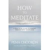 KNYGA Pema Chodron How to Meditate