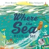 KNYGA Peter Bently Where the Sea Meets the Sky