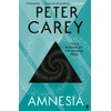 KNYGA Peter Carey Amnesia