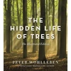 KNYGA Peter Wohlleben Hidden Life of Trees
